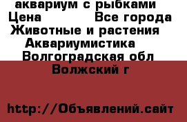 аквариум с рыбками › Цена ­ 1 000 - Все города Животные и растения » Аквариумистика   . Волгоградская обл.,Волжский г.